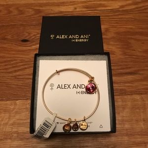 Alex and Ani Energy Bracelet